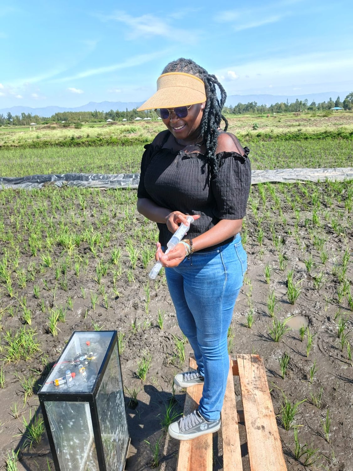 Our scientist drawing a gas sample from a static chamber in a rice paddy